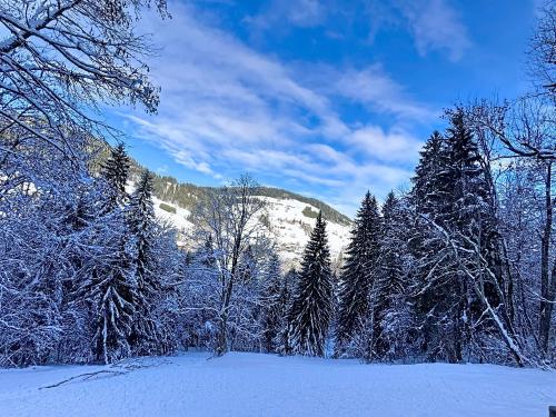 1435_69724cbf065c96.78068909.jpg
